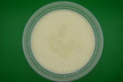 Beurre de Karité FABACO – Soin Naturel Nourrissant Peau & Cheveux